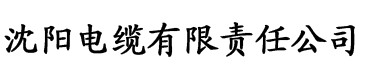 永久免费樱桃视频入口电缆厂logo